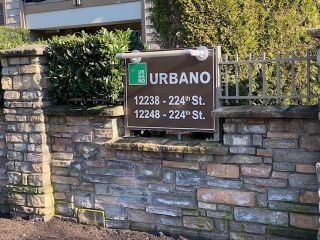 Photo 13: 207 12248 224 Street in Maple Ridge: East Central Condo for sale in "URBANO" : MLS®# R2847145