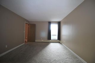 Photo 20: 306 333 GARRY Crescent NE in Calgary: Greenview Apartment for sale : MLS®# A1069641