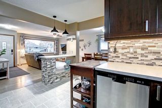 Photo 15: 9615 Assiniboine Road SE in Calgary: Acadia Detached for sale : MLS®# A1202553