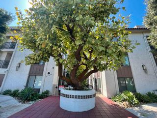 Main Photo: NORTH PARK Condo for sale : 1 bedrooms : 3796 Alabama St #1 in San Diego