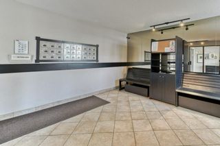Photo 22: 407 611 8 Avenue NE in Calgary: Renfrew Apartment for sale : MLS®# A1121904