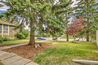 Photo 42: 1504 544 Blackthorn Road NE in Calgary: Thorncliffe Row/Townhouse for sale : MLS®# A2057918