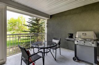 Photo 22: 210 35 Richard Court SW in Calgary: Lincoln Park Apartment for sale : MLS®# A2052409
