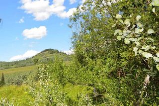 Photo 21: LOT 1 HISLOP Road in Smithers: Smithers - Rural Land for sale in "Hislop Road Area" (Smithers And Area (Zone 54))  : MLS®# R2491414
