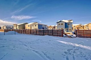 Photo 46: 190 Lucas Close NW in Calgary: Livingston Detached for sale : MLS®# A2107066
