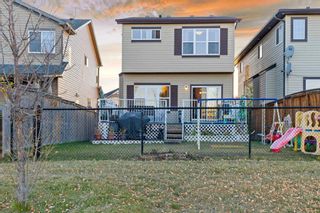 Photo 31: 267 Martin Crossing Place NE in Calgary: Martindale Detached for sale : MLS®# A2086368