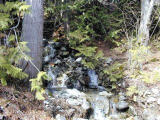 Photo 6: 38030 TRANS CANADA Highway in Yale: Hope Center Land for sale (Hope)  : MLS®# R2622796