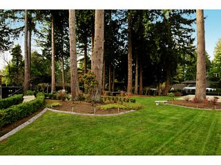 Photo 14: 12855 CRESCENT Road in Surrey: Elgin Chantrell House for sale in "Crescent Beach / Ocean Park" (South Surrey White Rock)  : MLS®# F1413765