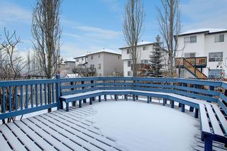 Photo 28: 206 Citadel Estates Heights NW in Calgary: Citadel Detached for sale : MLS®# A1050417