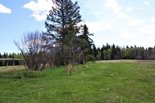 Photo 36: 31518 Hwy 22: Rural Mountain View County Residential Land for sale : MLS®# A1218290