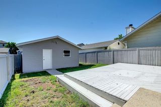 Photo 33: 815 Erin Woods Drive SE in Calgary: Erin Woods Detached for sale : MLS®# A1244913