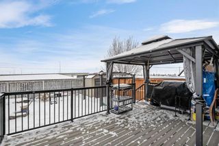Photo 32: 93 Del Ray Road NE in Calgary: Monterey Park Detached for sale : MLS®# A2101731