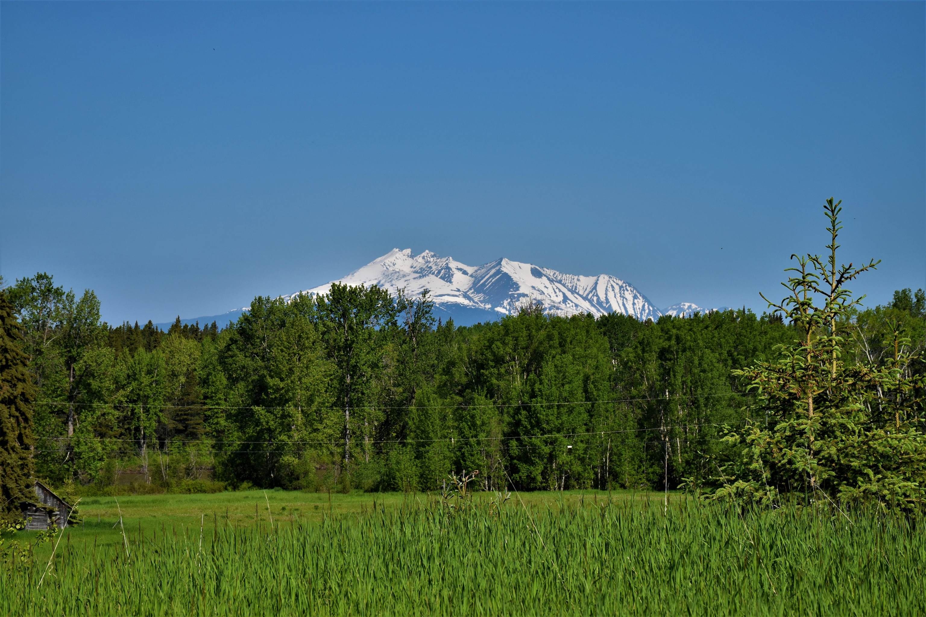 Main Photo: BOURGON ROAD in Smithers: Smithers - Rural Land for sale (Smithers And Area (Zone 54))  : MLS®# R2700048