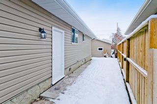 Photo 26: 100 DOVERVIEW Place SE in Calgary: Dover Detached for sale : MLS®# A1024220