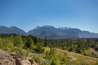 Photo 4: 2014 DOWAD Drive in Squamish: Tantalus Land for sale : MLS®# R2422415