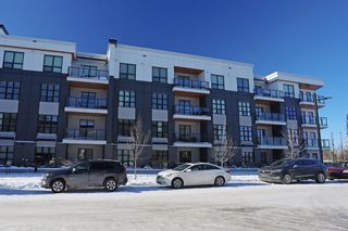 Photo 26: 225 383 Smith Street NW in Calgary: University District Apartment for sale : MLS®# A2011296