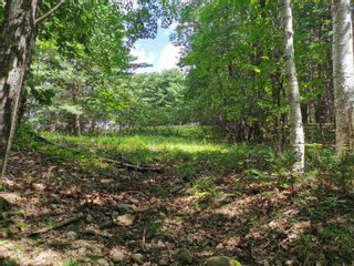 Photo 1: 1817 Northwest Road in Blockhouse: 405-Lunenburg County Vacant Land for sale (South Shore)  : MLS®# 202318168