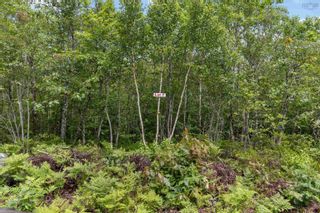 Photo 8: Lot 7 Maple Ridge Drive in White Point: 406-Queens County Vacant Land for sale (South Shore)  : MLS®# 202315168