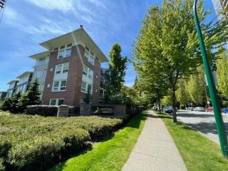 Photo 14: 312 6888 SOUTHPOINT Drive in Burnaby: South Slope Condo for sale in "CORTINA" (Burnaby South)  : MLS®# R2748894