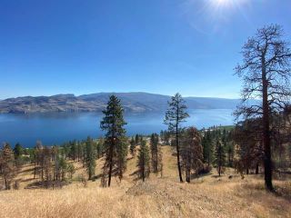 Photo 9: KM6 Highway 97 N, in Peachland: Vacant Land for sale : MLS®# 10265359