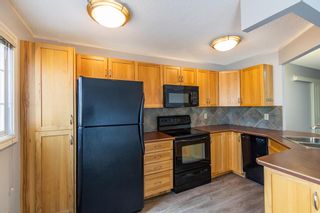 Photo 6: 103 117 38 Avenue SW in Calgary: Parkhill Apartment for sale : MLS®# A2000812