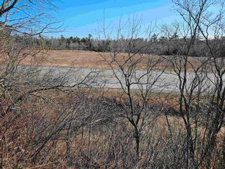 Photo 5: 5180 HIGHWAY 4 in Alma: 108-Rural Pictou County Vacant Land for sale (Northern Region)  : MLS®# 202406624