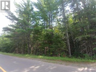 Photo 2: Greek River Road in Peters Road: Vacant Land for sale : MLS®# 202220614