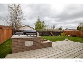Photo 18: 153 Meadow Gate Drive in Winnipeg: Transcona Residential for sale (North East Winnipeg)  : MLS®# 1611269