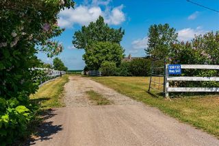 Photo 7: 336132 Hwy 547: Rural Foothills County Detached for sale : MLS®# C4255448