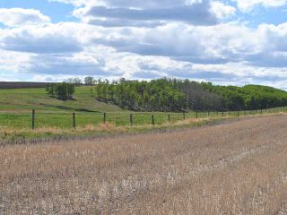 Photo 20: Range Road 41: Rural Mountain View County House for sale : MLS®# C3641299