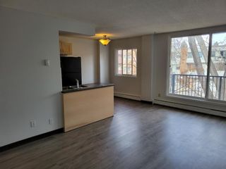 Photo 8: 308 635 57 Avenue SW in Calgary: Windsor Park Apartment for sale : MLS®# A1168551