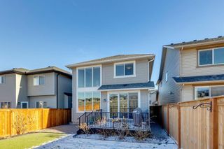 Photo 45: 23 Nolancrest Manor NW in Calgary: Nolan Hill Detached for sale : MLS®# A2095381