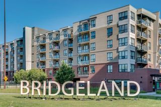 Photo 47: 305 46 9 Street NE in Calgary: Bridgeland/Riverside Apartment for sale : MLS®# A1208978