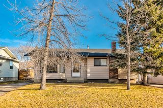 Photo 1: 392 Cantrell Drive SW in Calgary: Canyon Meadows Detached for sale : MLS®# A1164586