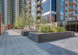 Photo 29: 1703 211 13 Avenue SE in Calgary: Beltline Apartment for sale : MLS®# A1147857