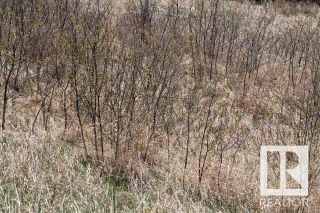 Photo 3: 106 4231 Twp Rd 553: Rural St. Paul County Rural Land/Vacant Lot for sale : MLS®# E4244676