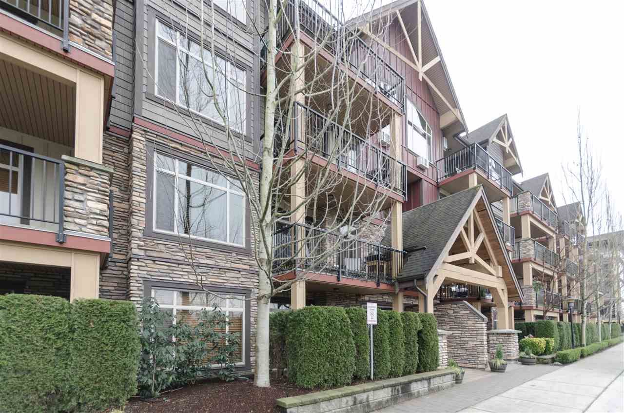 Main Photo: 210 8328 207A Street in Langley: Willoughby Heights Condo for sale in "Yorkson Creek" : MLS®# R2529915