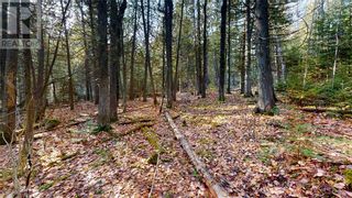 Photo 16: 5 Sandy Point in Manitowaning: Vacant Land for sale : MLS®# 2112426