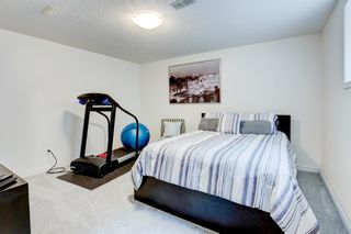 Photo 35: 35 Brightonwoods Crescent SE in Calgary: New Brighton Detached for sale : MLS®# A1220739