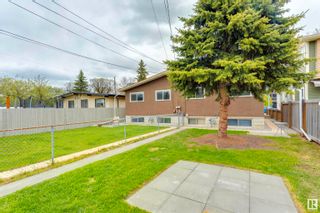 Photo 14: 8560 88 Street in Edmonton: Zone 18 House Half Duplex for sale : MLS®# E4382594