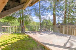 Photo 19: 3218 SYLVIA Place in Coquitlam: Westwood Plateau House for sale : MLS®# R2374115