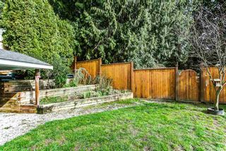 Photo 14: 11266 HARRISON Street in Maple Ridge: East Central House for sale : MLS®# R2049258