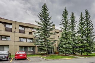 Photo 2: 1 215 Village Terrace SW in Calgary: Patterson Apartment for sale : MLS®# A2079557