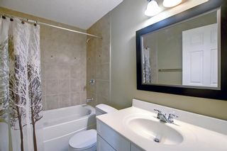 Photo 31: 223 Edgebrook Rise NW in Calgary: Edgemont Detached for sale : MLS®# A1202474