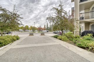 Photo 41: 1319 2395 Eversyde Avenue SW in Calgary: Evergreen Apartment for sale : MLS®# A1149629