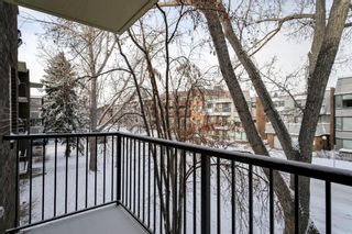 Photo 14: 308 635 57 Avenue SW in Calgary: Windsor Park Apartment for sale : MLS®# A1168551