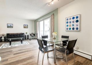 Photo 14: 303 924 18 Avenue SW in Calgary: Lower Mount Royal Apartment for sale : MLS®# A1224333