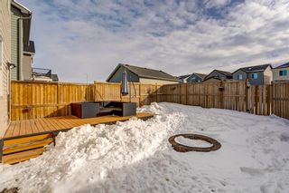 Photo 30: 3081 NEW BRIGHTON GV SE in Calgary: New Brighton House for sale : MLS®# C4229113