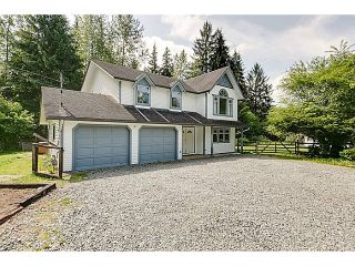 Photo 32: 25990 116TH Avenue in Maple Ridge: Websters Corners House for sale : MLS®# V1097441