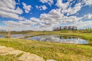 Photo 46: 115 Skyview Point Road NE in Calgary: Skyview Ranch Detached for sale : MLS®# A1235158